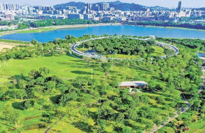 深入践行人民城市理念，建设绿色低碳的美丽城市
